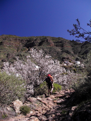 Wanderweg nach La Culata